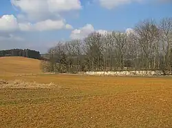ŽH Telice