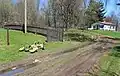 Kachny...