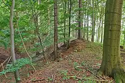 Terénní nerovnosti u vrcholu Hradiště, Vrážné, okres Svitavy.jpg