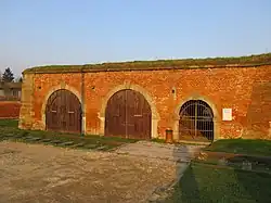 Terezin obradni sin.jpg