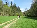 Přírodní park Terezské údolí