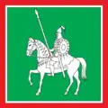 Tetijiv – vlajka
