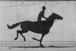 Animace studie koně s jezdcem v pohybu z r. 1878 od Eadwearda Muybridge.