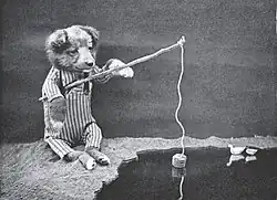 The Little Folks of Animal Land