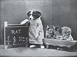 The Little Folks of Animal Land