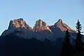 Tree Sisters z Canmore