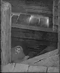 Pesta i trappen, 1896