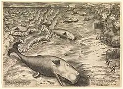 Tři uvázlí vorvani (Jan Wierix, 1577)