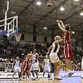 Basketbal