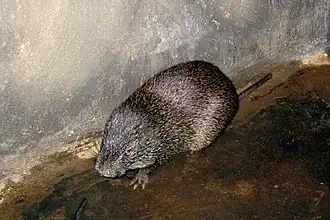 alternativní popis obrázku chybí