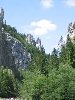 Tiesňavy, uprostřed skalní útvar Mních