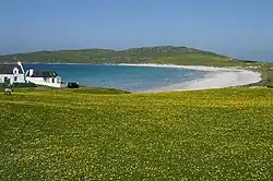Kvetoucí machair na pobřeží ostrova Tiree
