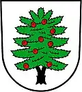 Obec Tis