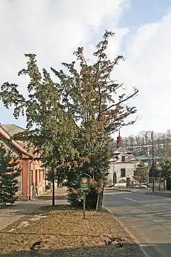 březen 2006