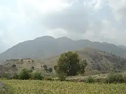 Hory Tora Bora