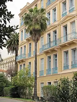Starší exemplář Trachycarpus fortunei ve Francii