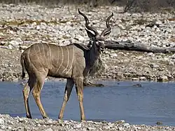 alternativní popis obrázku chybí