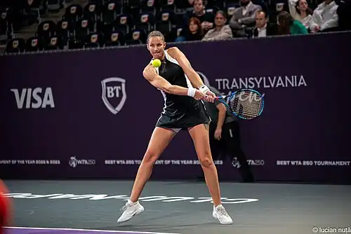 Karolína Plíšková