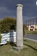TrhoveSviny18.jpg