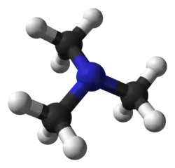 kuličkový model molekuly