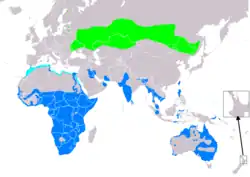 Rozšíření vodouše štíhlého (světle zeleně – hnízdiště, světle modře – migrace, modře – zimoviště, fialově – zatoulanci (závislost na sezóně nejasná))