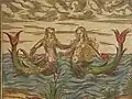Triton a najáda; ručně kolorovaný dřevořez v Münsterově Cosmografii (vydání z r. 1600)