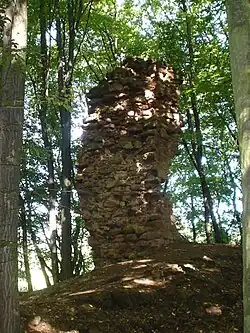 Zřícenina hradu