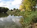Rybník