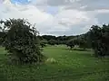 Trnovec (přírodní rezervace)