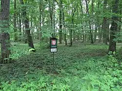 Trnovec