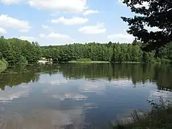 Trnovský rybník