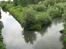 Soutok Černé Přemši (vlevo) a Bílé Přemši (vpravo)