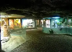 Tropical kingdom, ZOO Brno