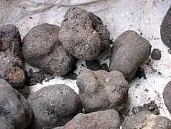 alternativní popis obrázku chybí