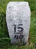 Český hraniční kámen u Fürstenwalde (Geising)