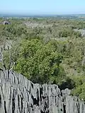 Suchý les a tsingy v přírodní rezervaci Bemaraha
