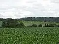Pohled na osadu od Radimi