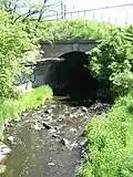 Tunel Botiče pod západní větví nádraží.