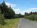 Pohled na skálu od cesty z Hradčan do Brenné