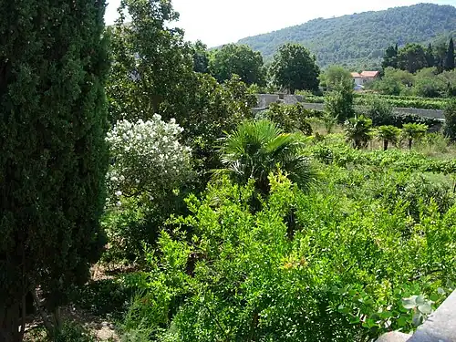Zahrada.
