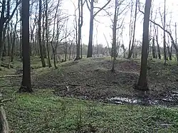Tvrziště Kasaličky 03.jpg