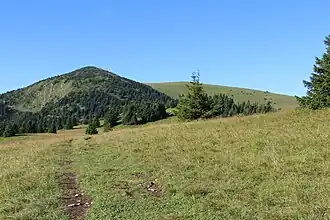 Chyžky