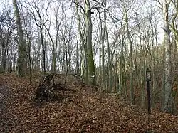 Rezervace U Výpustku (leden 2014)
