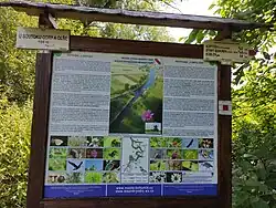 U soutoku Odry a Olše