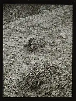 U trati, 2002