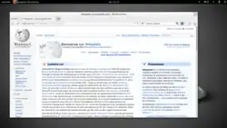 Systém Ubuntu GNOME 13.10