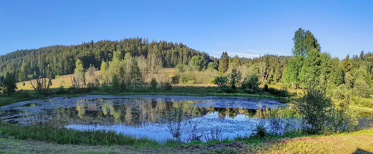 Uhlíkovský rybník