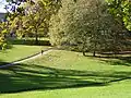 Univerzitní park, v pozadí jedna z budov