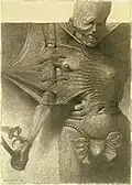 Kresba, 1968
