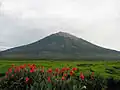 Kerinci (2012).